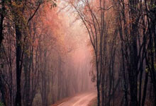 熊猫体育:国足三月世预赛比赛时间确定.