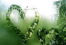 亚冬会:中国队夺得自由式滑雪空中技巧混合团体金牌.